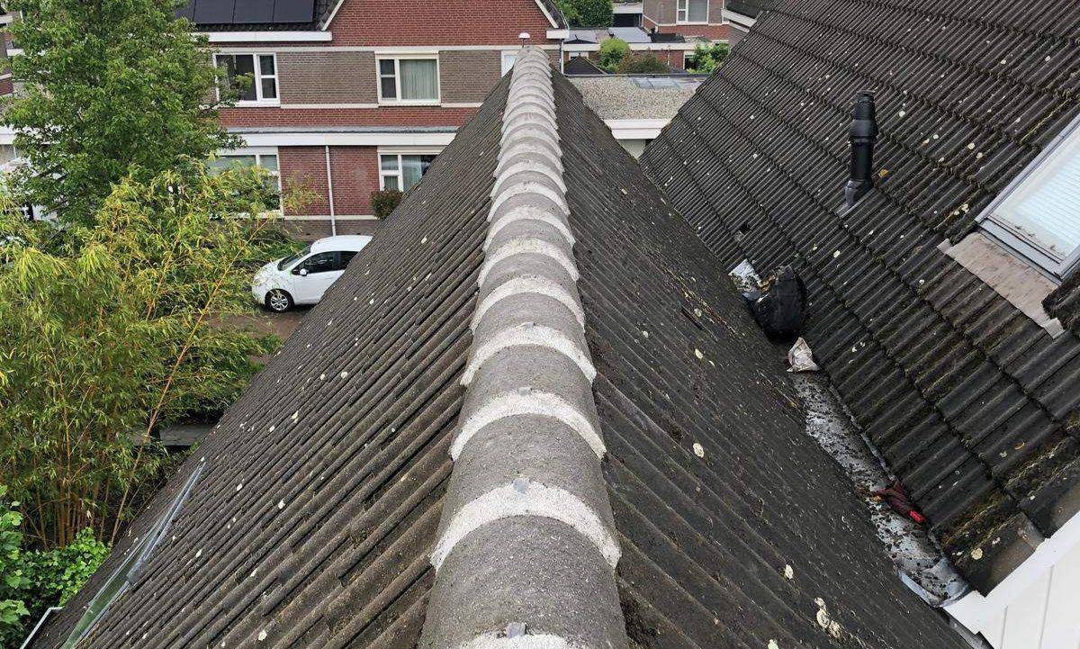 Nokvorsten Zutphen
